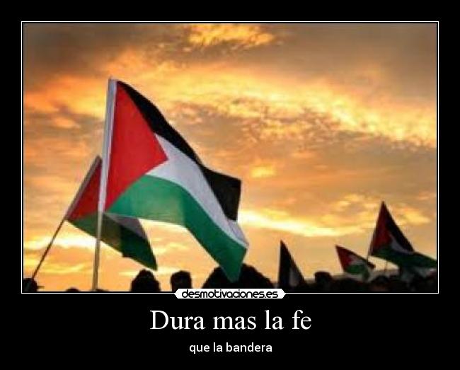 carteles clanantifas kaf les odio tanto como futbolistas toreros desmotivaciones