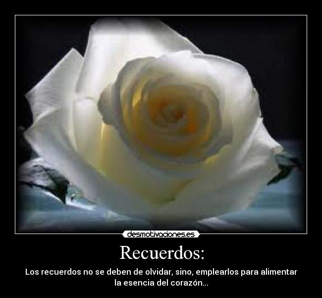 Recuerdos: - Los recuerdos no se deben de olvidar, sino, emplearlos para alimentar
la esencia del corazón...