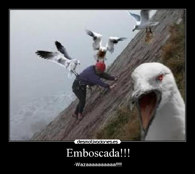 Emboscada!!! - -Wazaaaaaaaaaa!!!!!