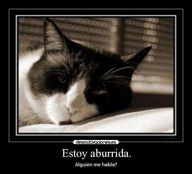 Estoy aburrida. - Alguien me habla?