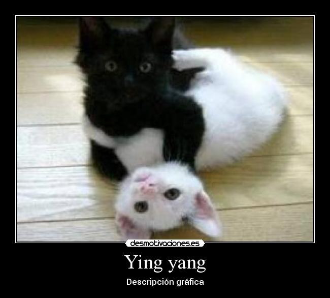 Ying yang - Descripción gráfica