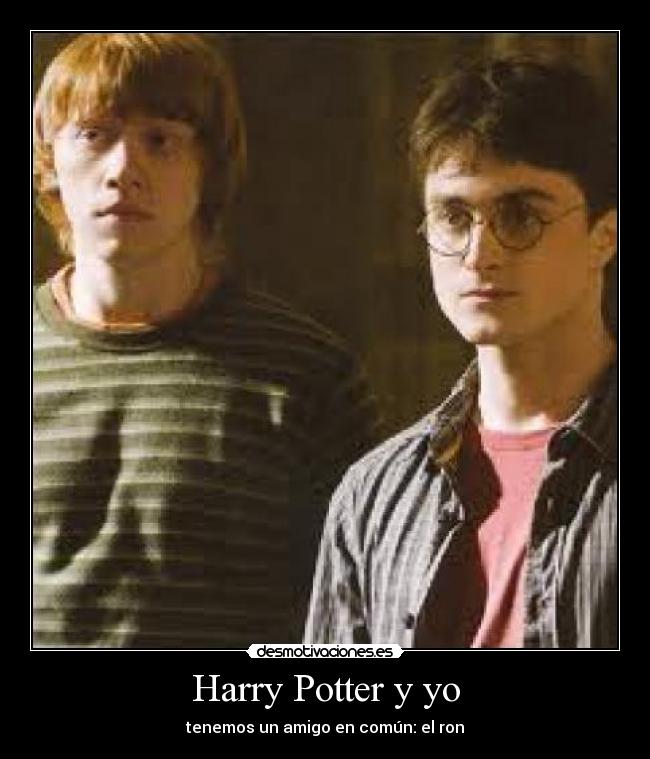 Harry Potter y yo -