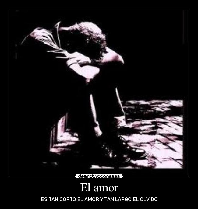carteles amor carlos desmotivaciones