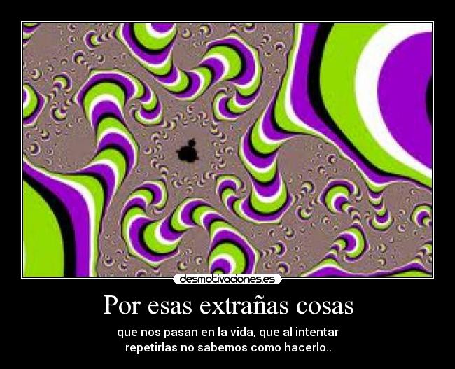 carteles fiorella4 desmotivaciones