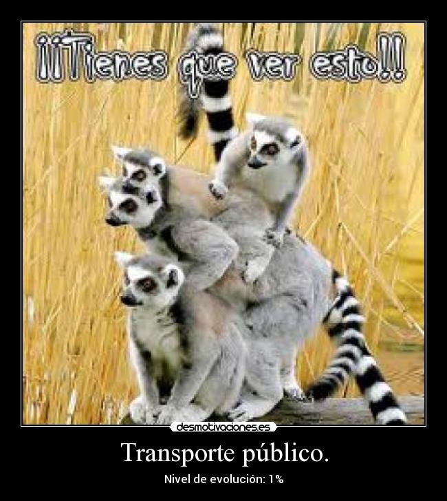 carteles monos desmotivaciones