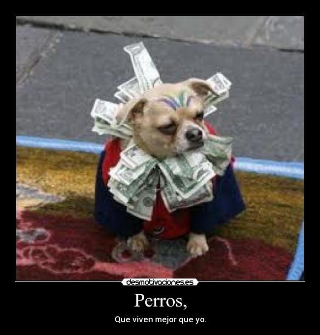 Perros, - 