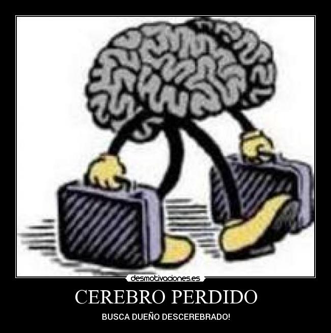 CEREBRO PERDIDO - BUSCA DUEÑO DESCEREBRADO!