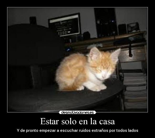 Estar solo en la casa -