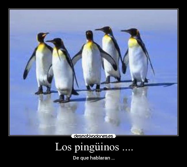 Los pingüinos .... -
