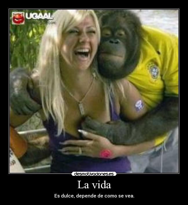 La vida - Es dulce, depende de como se vea.