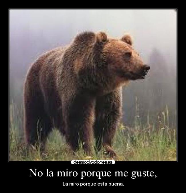 No la miro porque me guste, - La miro porque esta buena.