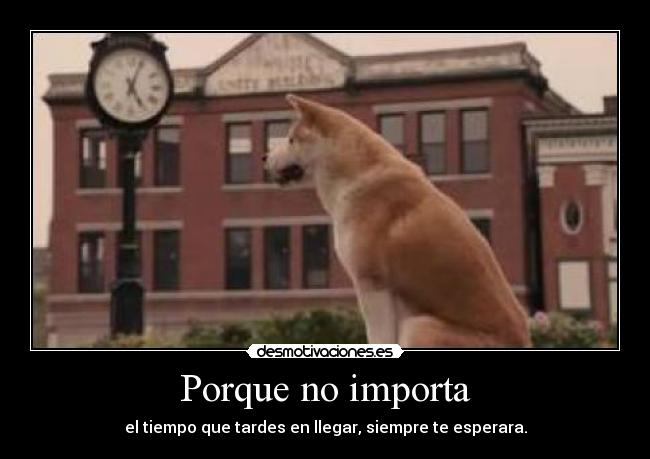 Porque no importa -