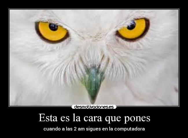 Esta es la cara que pones - 