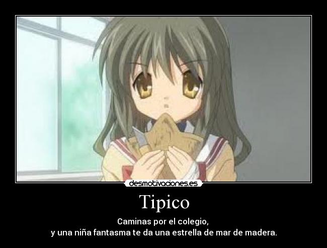Tipico -
