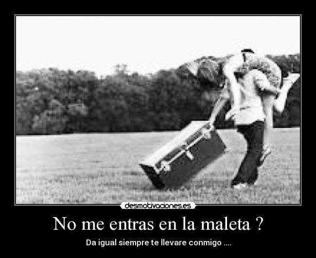 No me entras en la maleta ? -