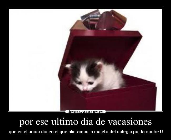 por ese ultimo dia de vacasiones - que es el unico dia en el que alistamos la maleta del colegio por la noche Ü