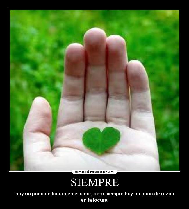 SIEMPRE - 
