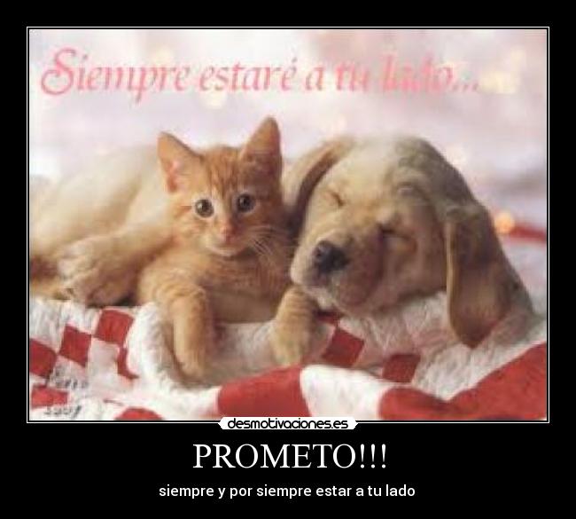 PROMETO!!! -