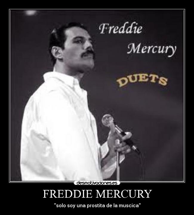 FREDDIE MERCURY -