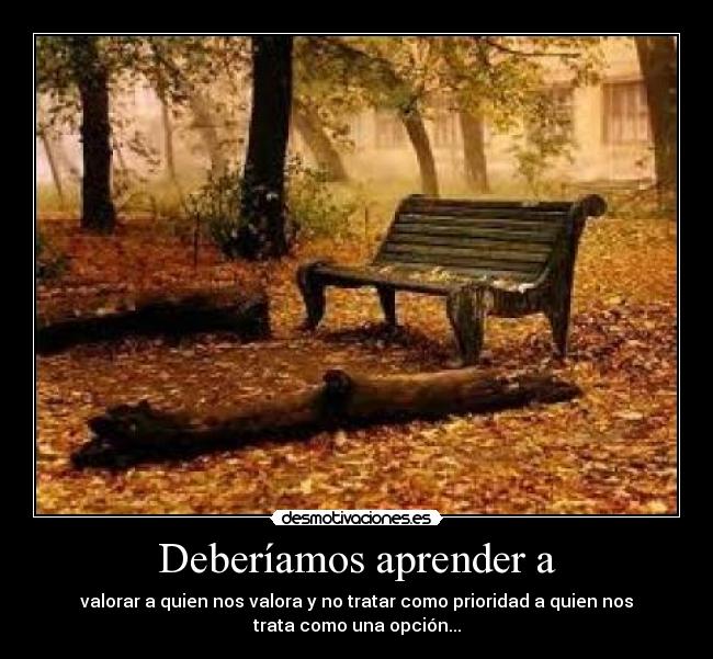 Deberíamos aprender a -