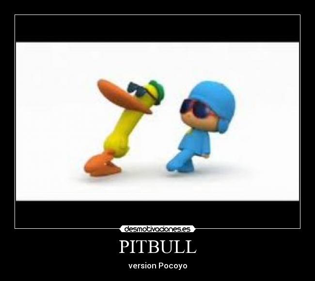 PITBULL -
