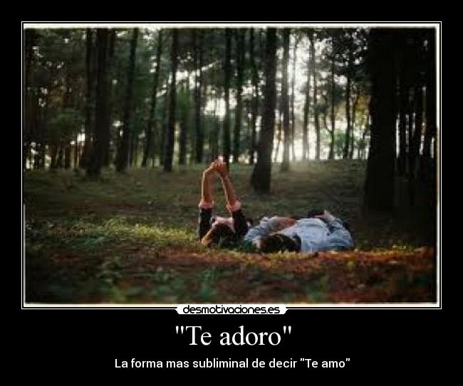Te adoro - 