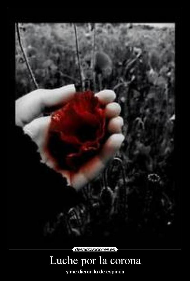 Luche por la corona - 