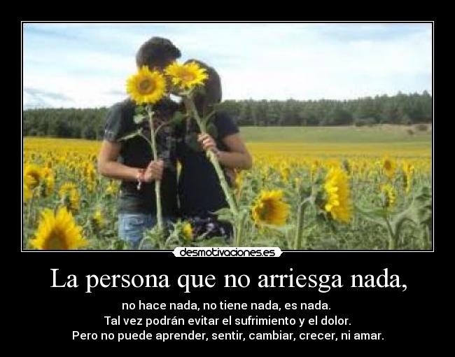 carteles lovepocholate desmotivaciones