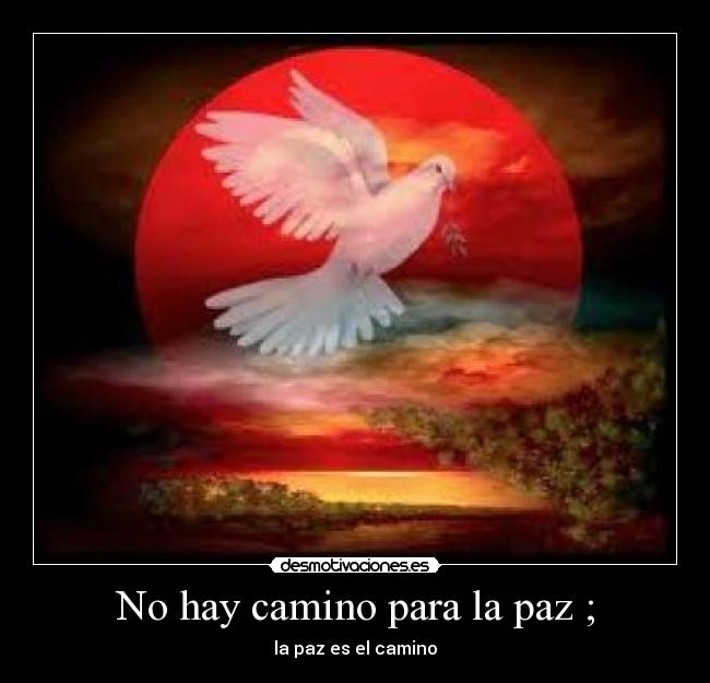 No hay camino para la paz ; - 