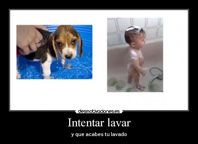Intentar lavar - y que acabes tu lavado