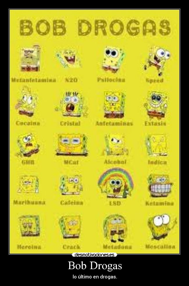 Bob Drogas - 
