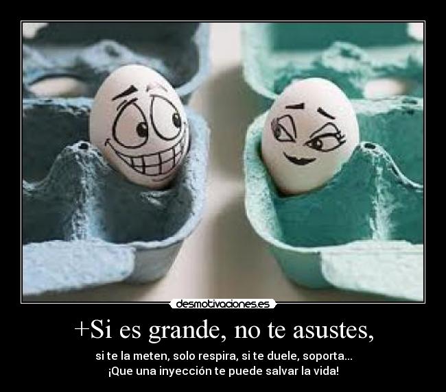 +Si es grande, no te asustes, - si te la meten, solo respira, si te duele, soporta...
¡Que una inyección te puede salvar la vida!