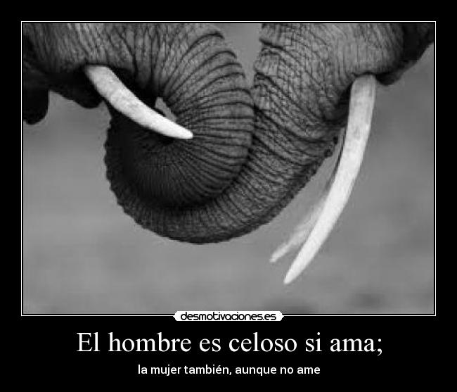 El hombre es celoso si ama; - la mujer también, aunque no ame