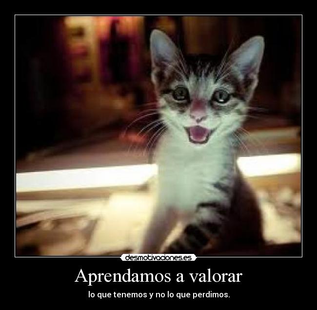 Aprendamos a valorar - lo que tenemos y no lo que perdimos.