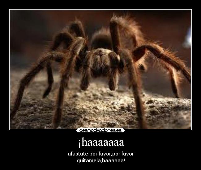 ¡haaaaaaa - afastate por favor,por favor
quitamela,haaaaaa!