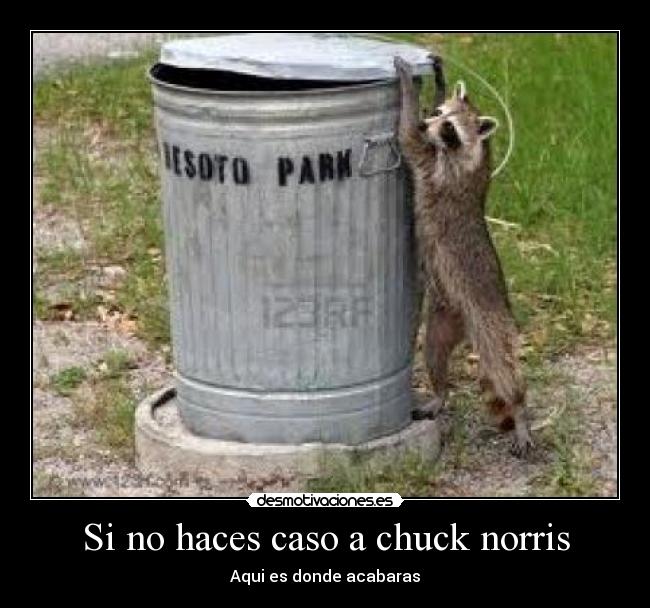 Si no haces caso a chuck norris - Aqui es donde acabaras