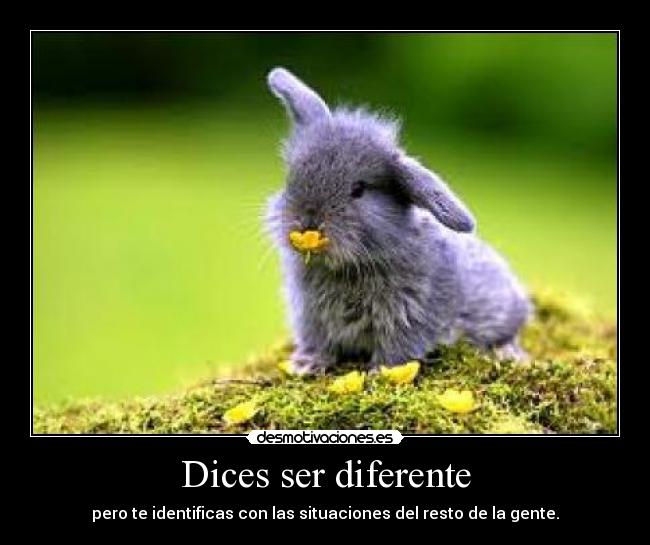 Dices ser diferente - pero te identificas con las situaciones del resto de la gente.