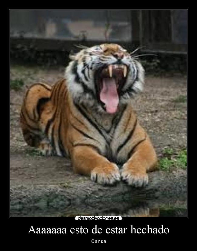 Aaaaaaa esto de estar hechado - Cansa