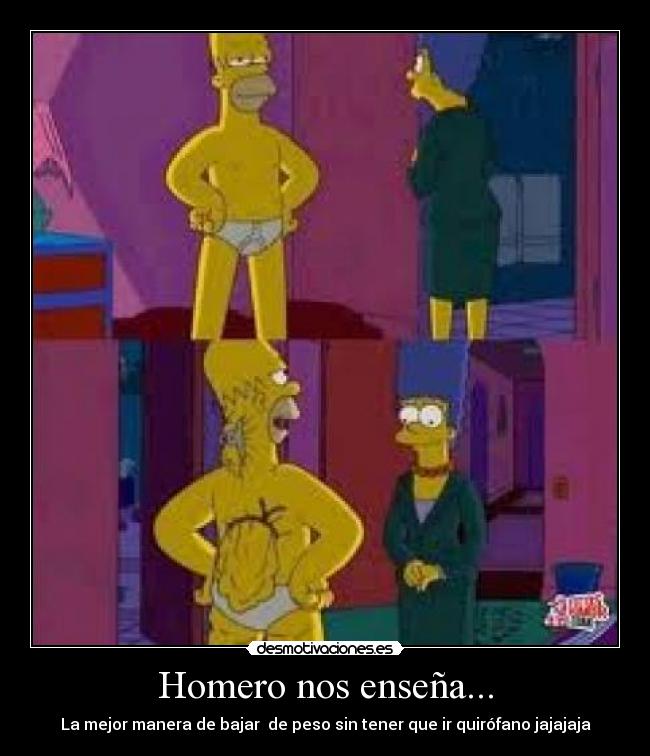 Homero nos enseña... -