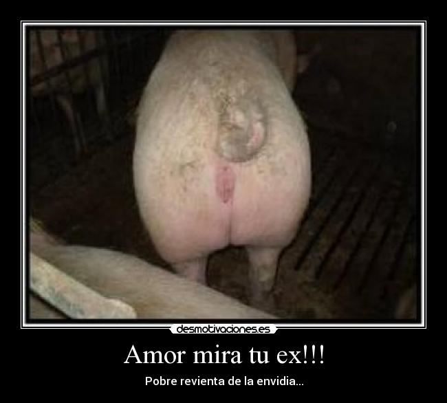 Amor mira tu ex!!! - 