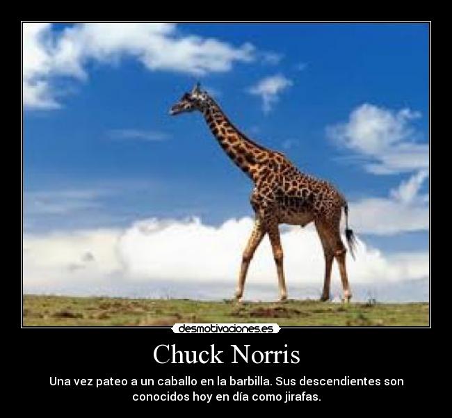 Chuck Norris -