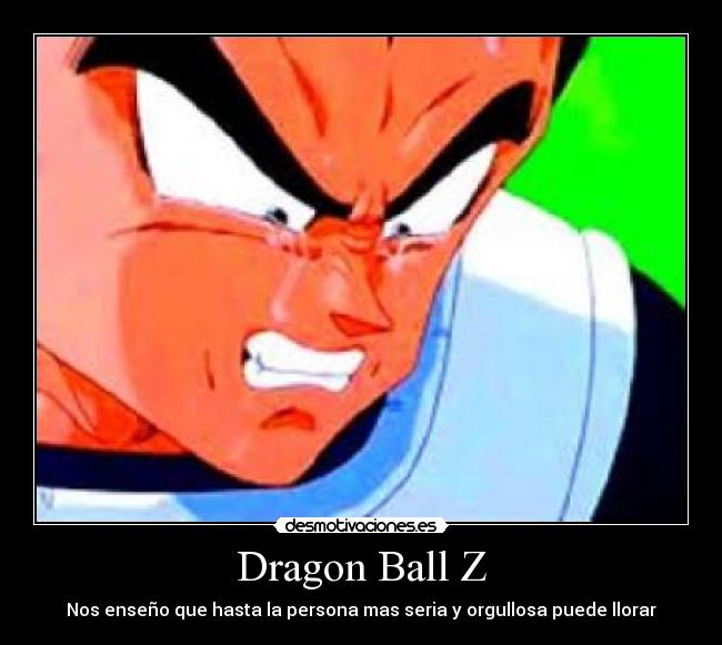 Dragon Ball Z - Nos enseño que hasta la persona mas seria y orgullosa puede llorar