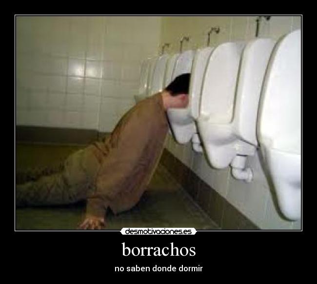 borrachos - no saben donde dormir