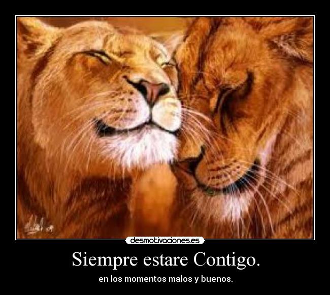 Siempre estare Contigo. -