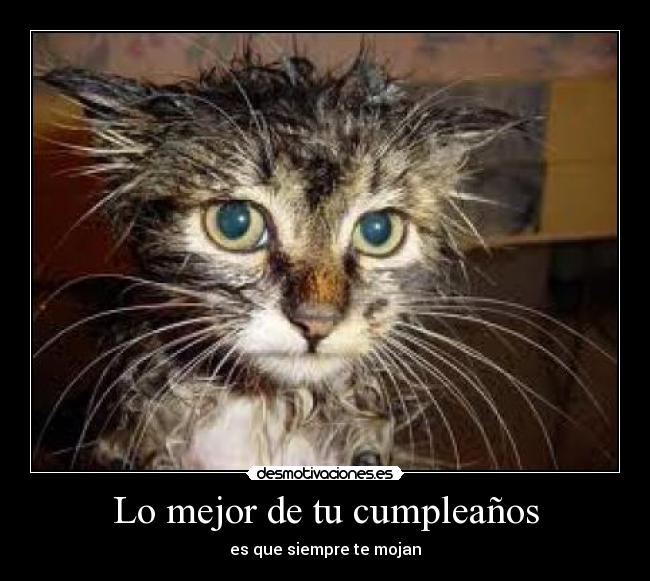 Lo mejor de tu cumpleaños - es que siempre te mojan