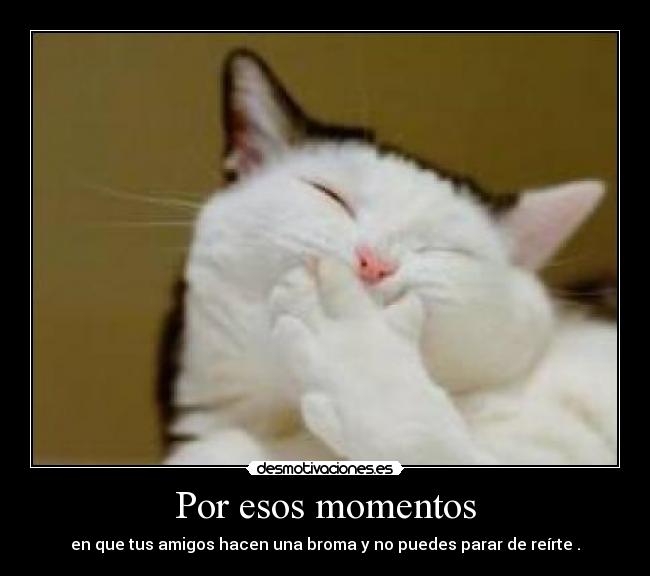 Por esos momentos - en que tus amigos hacen una broma y no puedes parar de reírte .