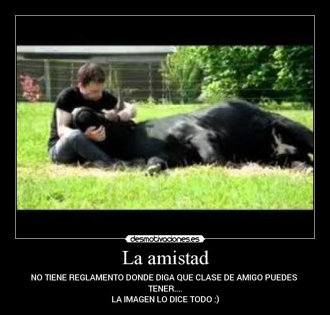 carteles amistad jjajajajajajajaj desmotivaciones