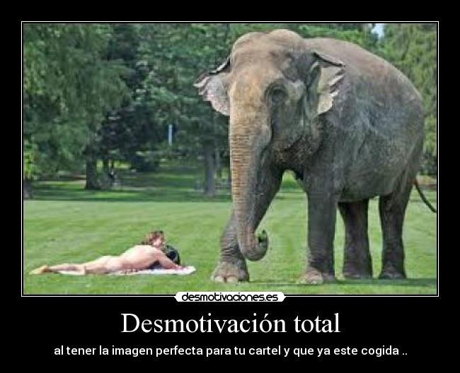 Desmotivación total -