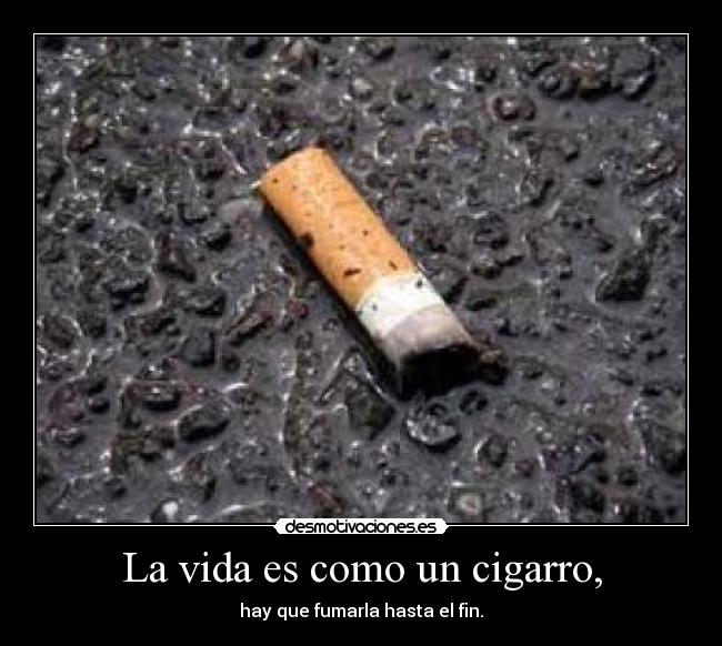 La vida es como un cigarro, - hay que fumarla hasta el fin.