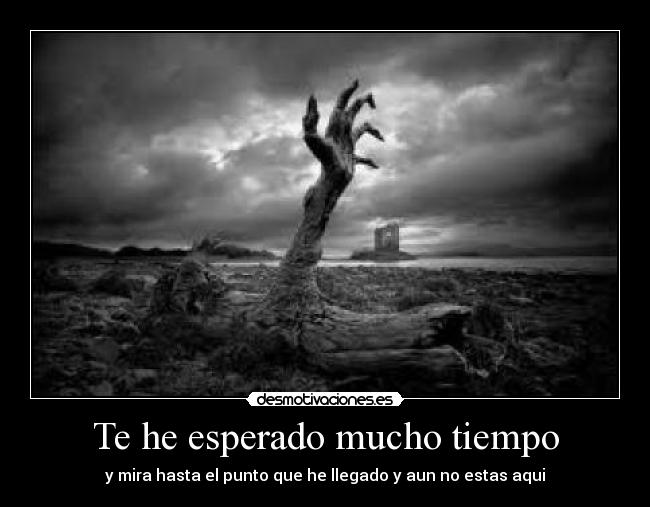 Te he esperado mucho tiempo - 